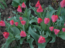 043