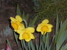 065