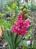 DSC02577