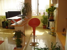 DSC01083