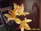 Picture 020