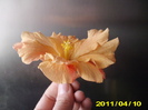 Picture 027