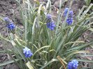 DSCN0579