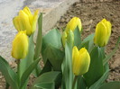 IMG_0546