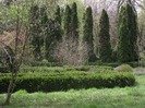 DSCF1098