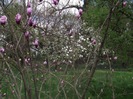 DSCF1099
