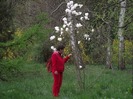 DSCF1101