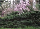 DSCF1105