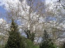 DSCF1110