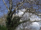 DSCF1115
