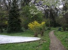 DSCF1120