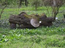 DSCF1128
