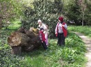 DSCF1131