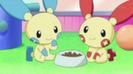 minun plusle