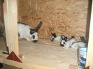 PICT0035