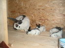 PICT0036