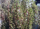 IMG10328