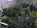 IMG10329