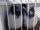 IMG10335