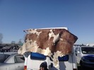 IMG10339