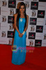 normal_Parul Chauhan at ITA Awards in Bhavans Ground on 2nd Dec 2010 (160)