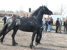 34688296_VRCUCBPIJ[1]