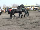 34688305_PPFEEVSGK[2]