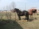 34688314_OPGQUVMEE[1]