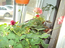 DSC07721