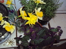 DSC07727