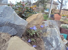 DSC07752