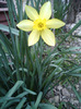 DSC00203