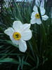 DSC00206