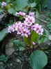 DSC00213