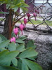 DSC00211