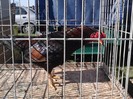 IMG10356