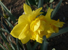 019