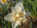 034