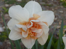 035