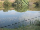 in asteptare