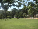 loc de joaca cu mingea