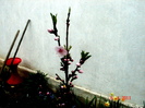 DSC06128
