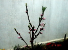DSC06130