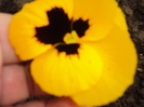 DSC07761