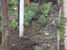 DSC07767