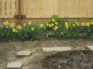 DSC07770