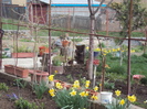 DSC07773