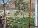 DSC07775