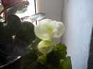 DSCN0637