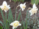 040